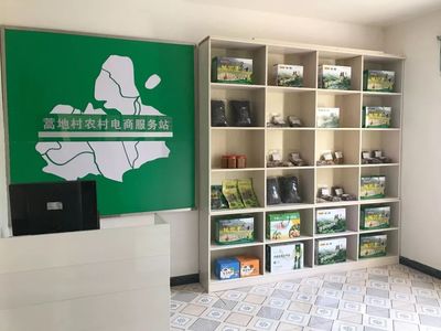 圖說由陜?nèi)氪ā暗谝绘?zhèn)”——轉(zhuǎn)斗鎮(zhèn)電子商務(wù)服務(wù)發(fā)展紀(jì)實(shí)