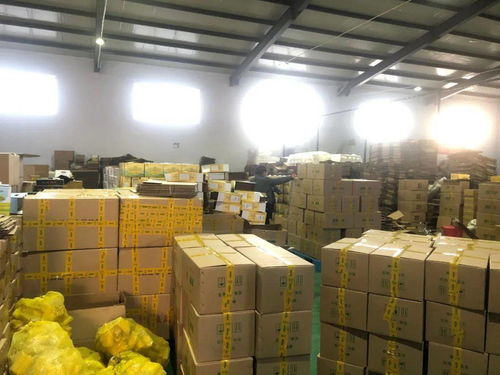 電商賦能，筑夢(mèng)五原——前11月交易額突破6億元，縣域經(jīng)濟(jì)借“網(wǎng)”騰飛